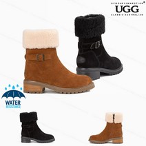 어그 오즈웨어 UGG 호주 여성 바이올렛 통굽 지퍼 앵클 양털 부츠 OB752
