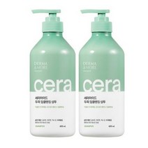 더마앤모어 세라마이드 두피딥클렌징 샴푸 600ml+600ml, 2개, 600ml