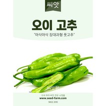 오이고추씨앗 (50립)
