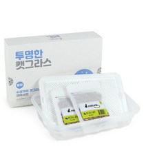 레써니 고양이캣그라스 고양이캣잎 제이네이처 투명 수경재배 소화촉진 중형