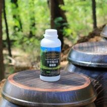 오너클랜 천연 해초풀 1L 우뭇가사리 편백 다용도풀 도배용품, 단일