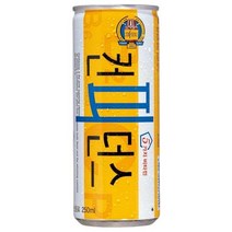 동아오츠카 컨피던스 250ml x30캔 무배