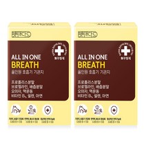 펫탠다드 올인원 호흡기 기관지 애견 강아지 영양제, 2개, 기관지 영양제