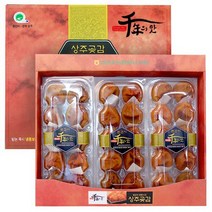 [농협] 상주 곶감 반건시 1.2kg(60g*20입), 없음