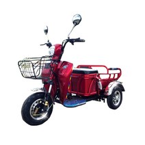 이지모터스 EG-120 시골스쿠터 삼륜 전동차 오토바이 국산