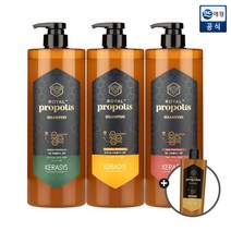[애경] 케라시스 로얄 프로폴리스 샴푸/트리트먼트 1L+로얄 샴푸 180ml, 케라시스 로얄 프로폴리스 트리트먼트 1L(오리지날)