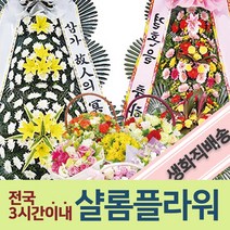 드라코나무화분 전국근조화환 칠순잔치화환 부고화환 장례식장근조화환 화환보내기 조의화환 드라코꽃배달 나무화분드라코 나무화분꽃배달 꽃배달드라코 꽃배달나무화분 화분꽃배달 선물대엽 선물화분, 2.근조3단