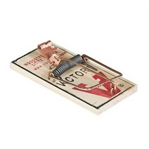 쪼몰 쥐를잡자 쥐 mouse trap, 1개, 1매