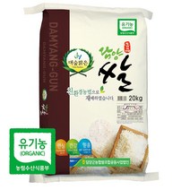 22년산 당일도정 담양군농협 (상등급) 대숲맑은 유기농쌀, 1개, 10kg