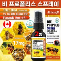식약처 인증 캐나다 비 프로폴리스 스프레이 원액 프로폴리스 추출물 함량 성분 구강 건강 향균 항산화 도움 온 가족 성장기 청소년 직장인 부모님 선물 beepropolis 고함량, 30ml x 2병