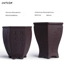 CNTCSM 사각난꽃창포 화훼녹식재 라지 다육분경 작은 도자기, 육각자사란죽 두 콤비네이션, 크다