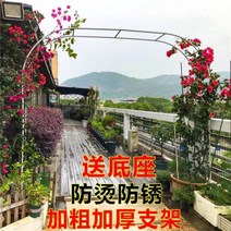 대문아치 가든 아치 게이트 대문 포도나무 터널 펜스, 중간, 화이트 2.9mx2.2m(폭x높이)