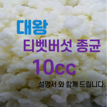 티벳버섯종균 유산균종균 수제요거트종균 발효유종균 캐비어종균, 10cc