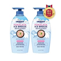 [LG생활건강] 엘라스틴 오가니스트 히말라야핑크솔트 쿨링 750ml x 2개