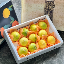 실패없는 제주 황금향 정품 산지직송100%, 2.5KG 중과 [10-16과내외] 선물용