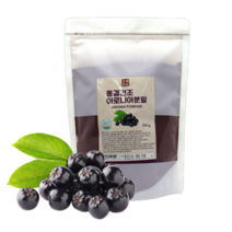 동결건조 아로니아 분말 국내산 500g HACCP 인증제품, 1개