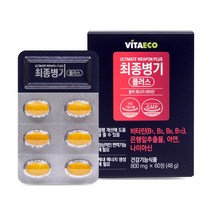 최종병기 플러스 60정