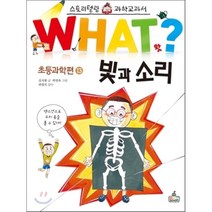 빛과 소리, WHAT SCHOOL