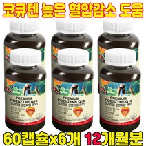활력 넘치는 생활의 시작 코앤자임 혈압에좋은음식 혈당관리복합식품 혈압건강식품 부모님 엄마 아빠 아버지 할머니 할아버지 어르신 영양제 60캡슐/6개/12개월분, 6개