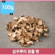 말린 삽주뿌리 100g 창출 편 약재 약초 삽주뿌리차 건강차 담금주 중국산, 1개
