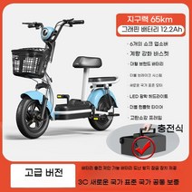 전동오토바이 전동스쿠터 48V 12Ah 출퇴근용 배달용 전기 장보기용 전동자전거, C