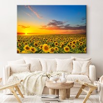 더 아트 컴퍼니 복을 부르는 재물운 금전운 풍수 황금해바라기그림 캔버스액자 43종 (1-16번), 7. 노을빛 해바라기밭 1