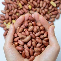 국산 땅콩 고소한 볶음 알땅콩 500g, 1개