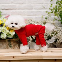 펫디자인 휘트니스 올인원, 레드