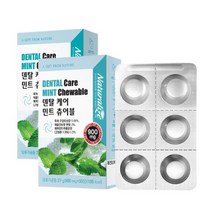 구강유산균 프로바이오틱스 특허 유산균 씹어먹는 츄어블 무설탕 자일리톨 입냄새 구취 오랄 덴탈 케어 민트향, 2통, 30정