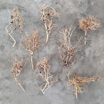 어항유목 1pc 무작위 크기 미니 수족관 물고기 탱크 장식품을위한 작은 나뭇 가지 조경 분재, 30-45cm