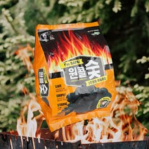 간편 3초 점화 야자숯 원콜 숯 1kg 바베큐 캠핑 구이용
