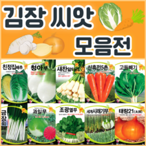 김장 채소 씨앗 모음 / 배추 무 당근 알타리 갓 엇갈이 양파 종자 씨, 39. 월동춘채 500g