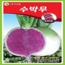 AR 수박무 씨앗 100립