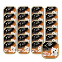 시저캔 쇠고기와닭고기 100gX24개