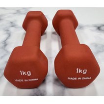 컬러 1kg 2개 SET 미용아령 레드칼라 가벼운 무게로 반복운동, 1kg 2개 1SET