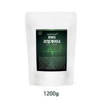 BMS 리얼게이너, 1200g, 1개