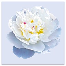 모란꽃 33종 돈들어오는 그림 한국화 캔버스액자 인테리어액자 거실액자 침실액자, 모란꽃25