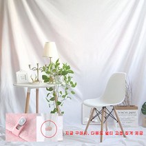 [생활모아] AniThing 개인 크리에이터 음식 제품 강의 촬영 스튜디오 배경천 컬러별 중대형 2.4x3M 2.4x4M 하나로 준비끝, 블랙2.4x4m