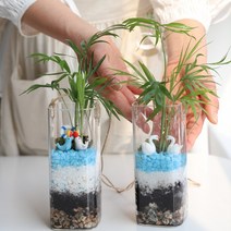 나만의 작은 아쿠아리움 재주많은 돌고래와 비단이끼 테라리움 만들기 DIY 키트, 02 백조의호수테라리움DIY