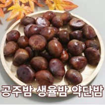 햇밤 알밤 약단밤 생율밤 공주밤 칼집 밤 맛밤 군밤용 가정용 업소용 밤 1kg 2kg 3kg, 칼집)생율밤 1kg
