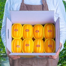 고당도 프리미엄 성주 꿀 참외 3kg 로얄과 당도보장, 2.정품 고당도 참외 3kg(로얄과), 1개
