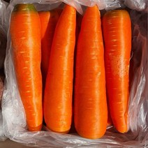 세척 당근 최상품 신선 carrot 5kg 10kg 이중 박스포장 베트남, 1box, 3kg (개당300g내외)