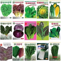 호미닷컴 엽채류 채소씨앗 - 김장씨앗 배추씨앗 무씨앗 야채씨앗 항암 수박무 나물 꽃 허브 잔디 쌈채소 씨앗, 엽채63. 부추