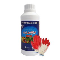 시스타액제 500ml 수용성규산염 유기농 영양제 규산나트륨 항공방제 드론방제 수도작 포도나무비료 샤인머스켓 포도 딸기 벼 고추