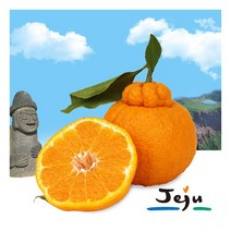 [푸드마인] 제주 서귀포 노지 한라봉 5kg(15-28과) 제주직송, 상세 설명 참조