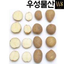 국내산 감자 20kg 조림용 반찬용 대용량 업소용감자, 국내산 감자20kg 조림용, 1개