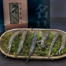경성건강원 자연산 더덕 겨울 더덕주 요리 구이 장아찌 선물세트 더덕의효능 강원도 산지직송, 2세트, 300g 9~12뿌리