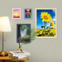 닥터프레임 액자 사진액자 인테리어액자 상장액자 3x5 4x6 5x7 6x8 8x10 10x15 11x14 A4 A3 b4 b5 8절지 16절지 액자 외 벽걸이 탁상 전사이즈, 그린