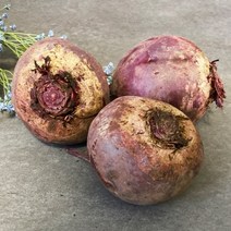 쿡네이처 제주 레드비트 특품 10kg