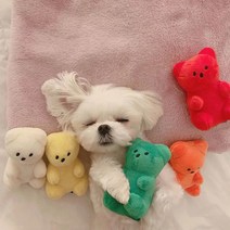 하리보 인형 화이튼 애착인형 강아지 잴리 애견 곰돌이, 노랑